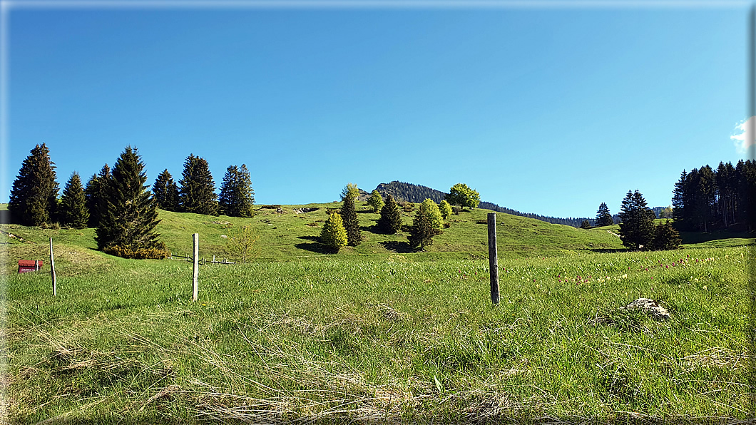 foto Piana del Vezzena